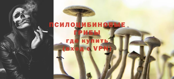 экстази Дмитриев