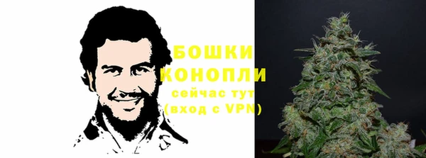 экстази Дмитриев