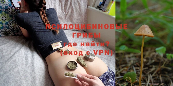 экстази Дмитриев