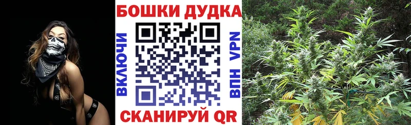 Купить  Терек  Бошки Шишки Bruce Banner 